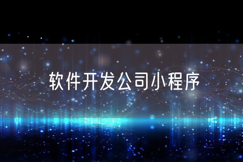 軟件開(kāi)發(fā)公司小程序